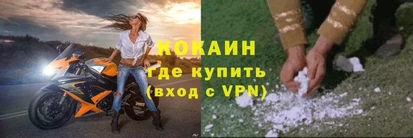 прущие грибы Горно-Алтайск