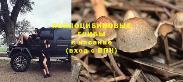 соль курить ск Надым