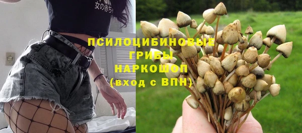 прущие крисы Орск