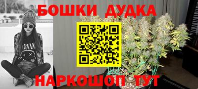 гидра Волгодонск