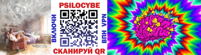 Псилоцибиновые грибы прущие грибы  где купить наркоту  Изобильный 