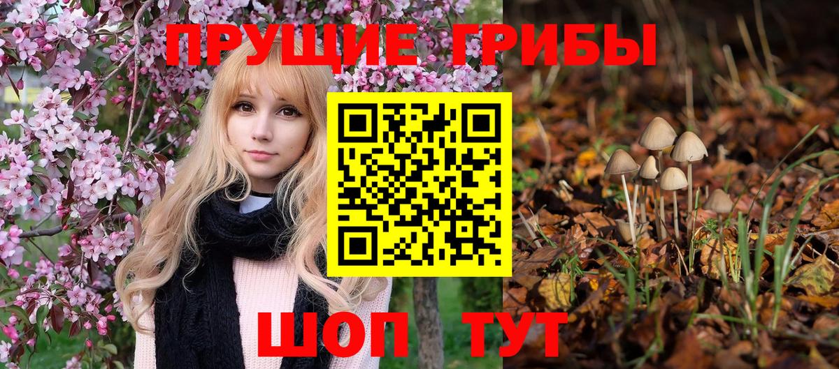 Изобильный  Галлюциногенные грибы Psilocybine cubensis  Вход с VPN  Псилоцибиновые грибы MAGIC MUSHROOMS 