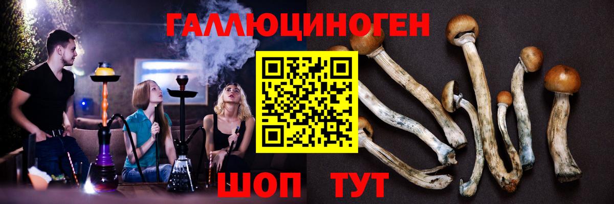 Псилоцибиновые грибы мицелий Изобильный