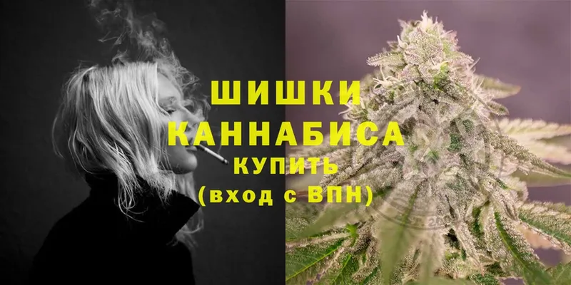 Конопля OG Kush  Изобильный 